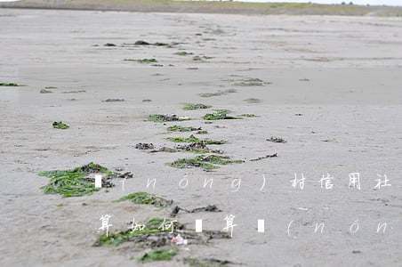 農(nóng)村信用社利息逾期2天怎么算，如何計算農(nóng)村信用社利息逾期2天的罰息？